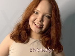 Elviahedge