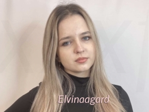 Elvinaagard
