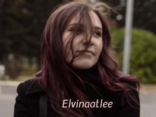 Elvinaatlee