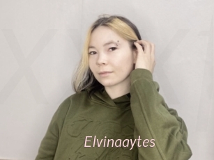 Elvinaaytes