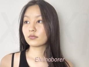 Elvinaborer