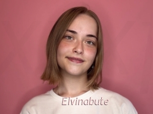 Elvinabute