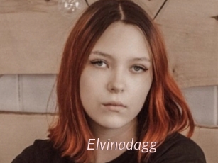 Elvinadagg