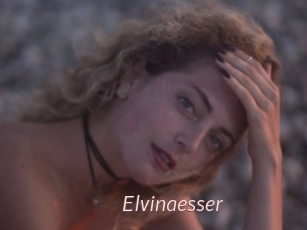 Elvinaesser