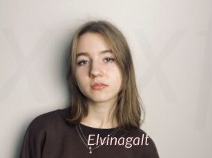 Elvinagalt
