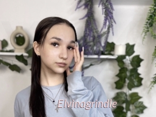 Elvinagrindle