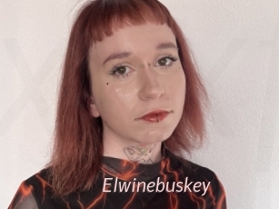 Elwinebuskey