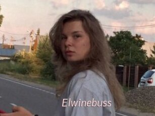 Elwinebuss