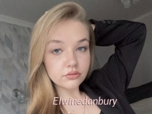 Elwinedanbury