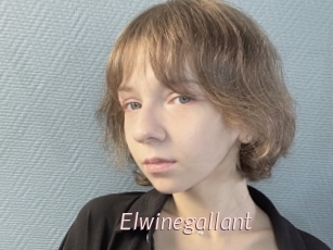 Elwinegallant