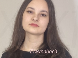 Elwynabach