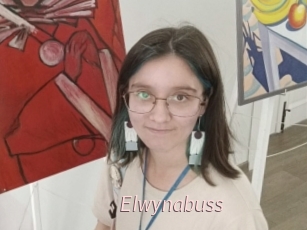 Elwynabuss