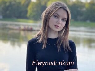 Elwynadunkum