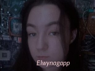 Elwynagapp