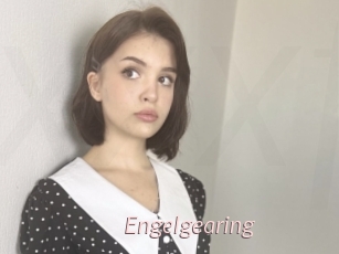 Engelgearing