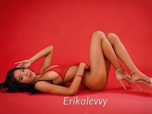 Erikalevvy