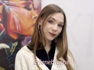 Erlenebracher