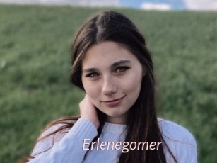 Erlenegomer