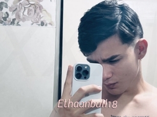 Ethaanbull18