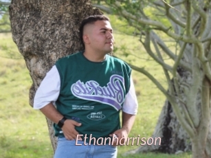 Ethanharrison