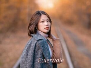 Eulerwale
