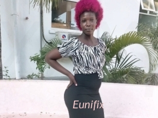 Eunifix