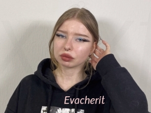 Evacherit
