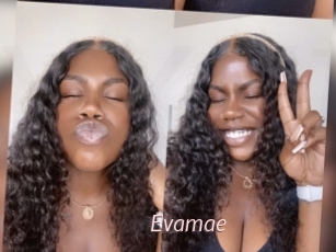 Evamae