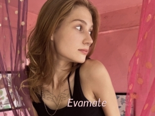 Evamate