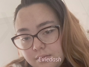 Eviedash