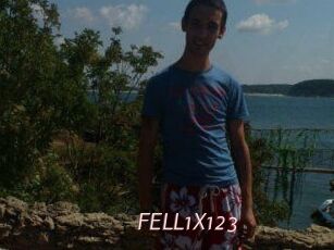 FELL1X123