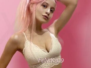 FeNiKs09