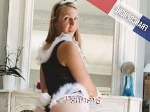 Feline18