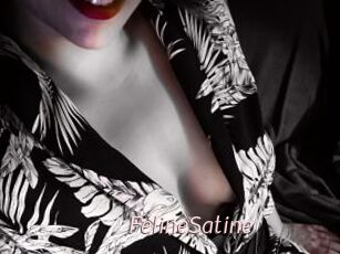 FelineSatine