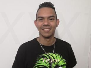Felino