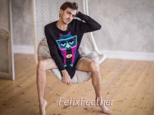 FelixFeather