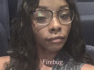 Firebug