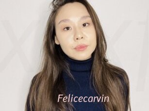 Felicecarvin