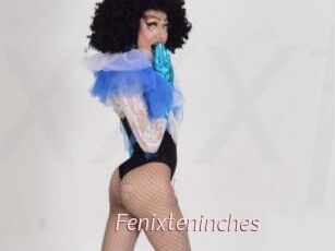 Fenixteninches