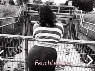 Feuchtemaus