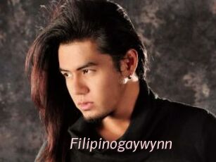 Filipinogaywynn