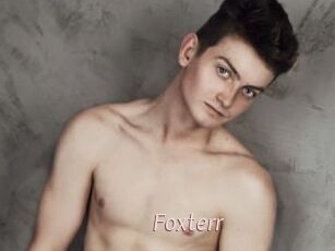 Foxterr