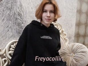 freyacollin xxx Free Sites