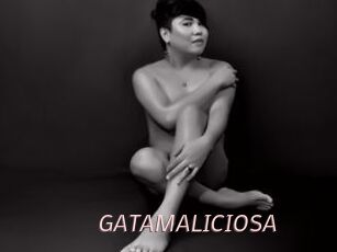 GATAMALICIOSA