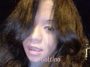 Gattina