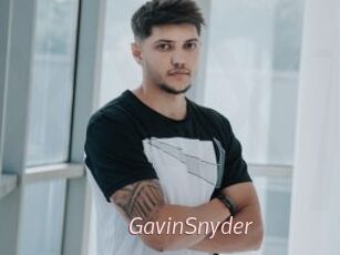 GavinSnyder xxx Free Sites