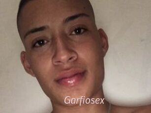 Garfiosex