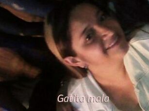 Gatita_mala