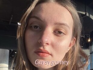 Gaysygarney
