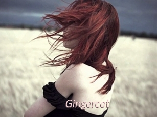 Gingercat